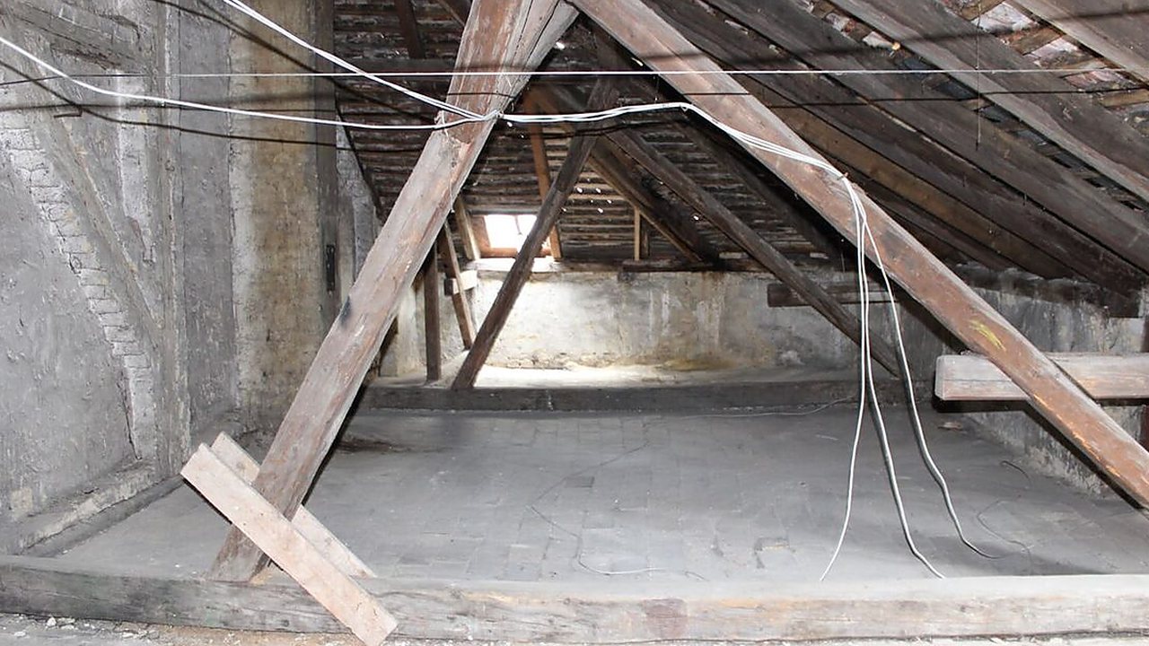 Lucrare debarasare Cluj 2