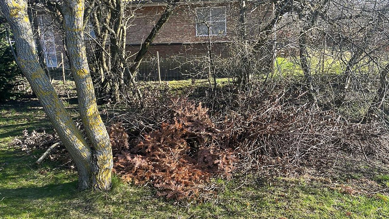 Lucrare debarasare Cluj 3