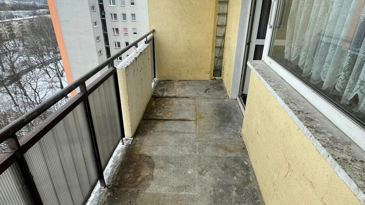 Lucrare debarasare Cluj 4