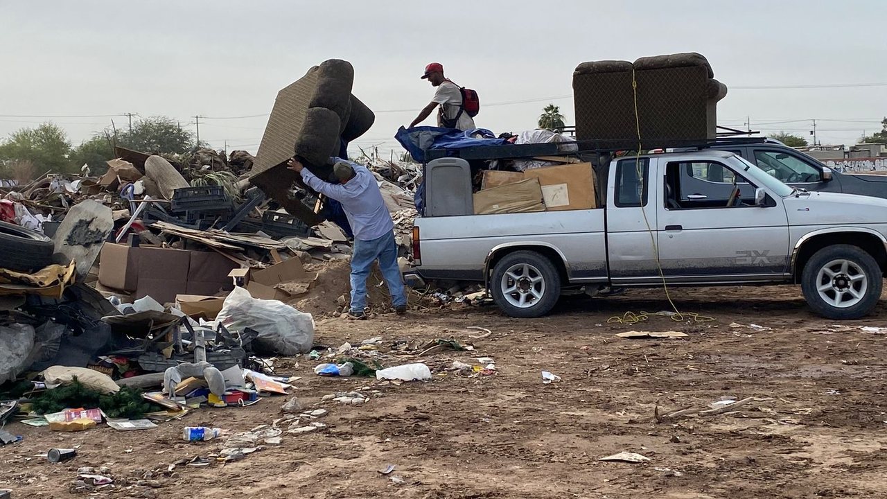 Debarasare Buna Ziua Cluj-Napoca